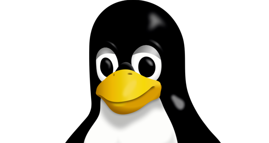 Comece no Linux Sem Stress: 5 Distros Amigáveis Para Iniciantes. Top 5